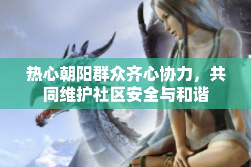 热心朝阳群众齐心协力，共同维护社区安全与和谐