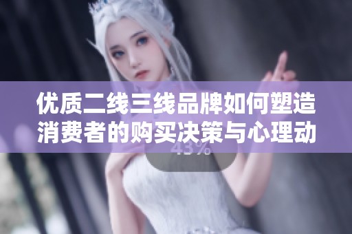 优质二线三线品牌如何塑造消费者的购买决策与心理动机