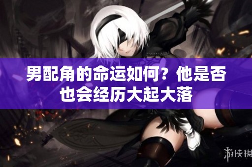 男配角的命运如何？他是否也会经历大起大落