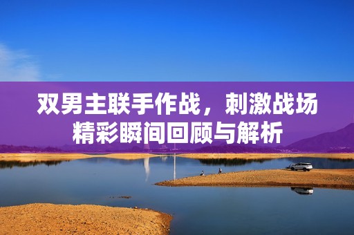 双男主联手作战，刺激战场精彩瞬间回顾与解析
