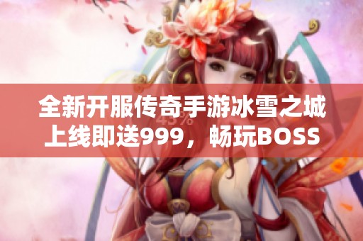 全新开服传奇手游冰雪之城上线即送999，畅玩BOSS等你来战