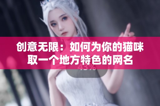 创意无限：如何为你的猫咪取一个地方特色的网名