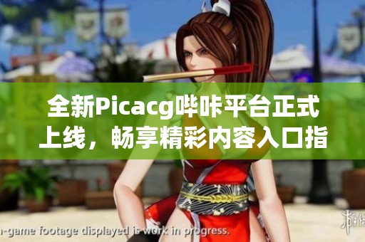 全新Picacg哔咔平台正式上线，畅享精彩内容入口指南