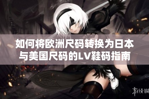如何将欧洲尺码转换为日本与美国尺码的LV鞋码指南