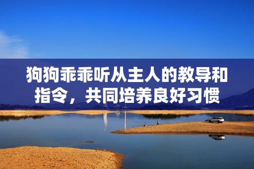 狗狗乖乖听从主人的教导和指令，共同培养良好习惯