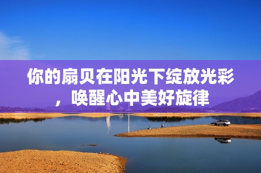 你的扇贝在阳光下绽放光彩，唤醒心中美好旋律