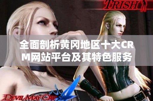 全面剖析黄冈地区十大CRM网站平台及其特色服务
