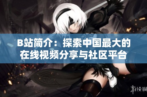 B站简介：探索中国最大的在线视频分享与社区平台