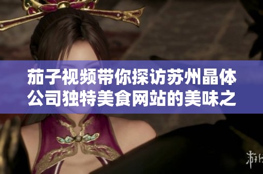 茄子视频带你探访苏州晶体公司独特美食网站的美味之旅