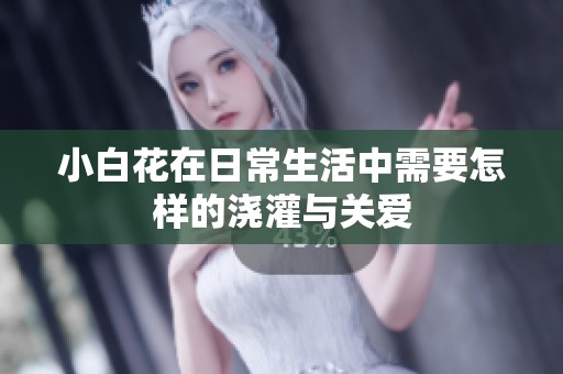 小白花在日常生活中需要怎样的浇灌与关爱