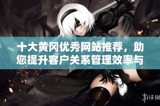 十大黄冈优秀网站推荐，助您提升客户关系管理效率与精准度