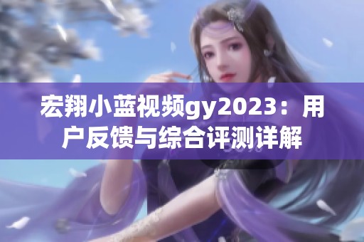宏翔小蓝视频gy2023：用户反馈与综合评测详解