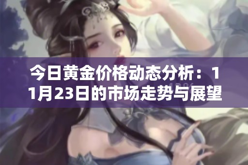 今日黄金价格动态分析：11月23日的市场走势与展望