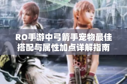 RO手游中弓箭手宠物最佳搭配与属性加点详解指南