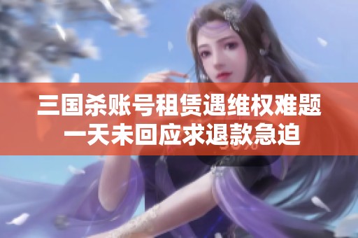 三国杀账号租赁遇维权难题 一天未回应求退款急迫