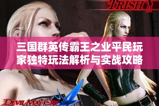 三国群英传霸王之业平民玩家独特玩法解析与实战攻略分享