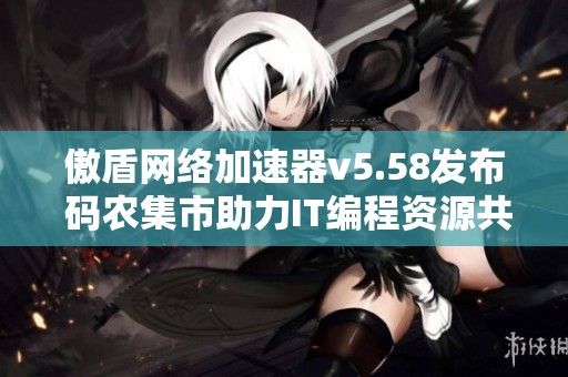 傲盾网络加速器v5.58发布 码农集市助力IT编程资源共享与学习