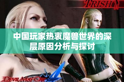 中国玩家热衷魔兽世界的深层原因分析与探讨