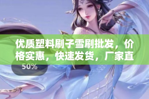 优质塑料刷子雪刷批发，价格实惠，快速发货，厂家直供
