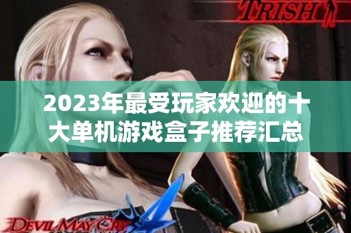 2023年最受玩家欢迎的十大单机游戏盒子推荐汇总