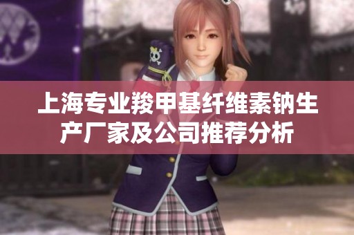 上海专业羧甲基纤维素钠生产厂家及公司推荐分析