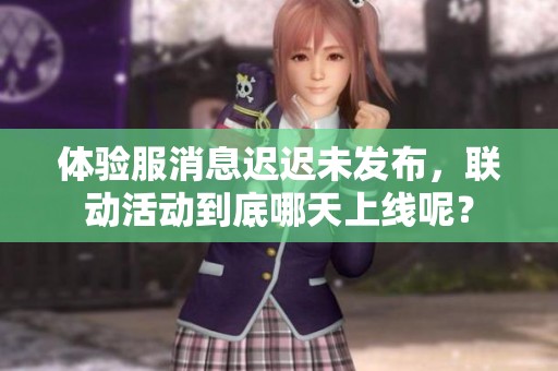 体验服消息迟迟未发布，联动活动到底哪天上线呢？