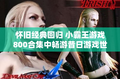 怀旧经典回归 小霸王游戏800合集中畅游昔日游戏世界