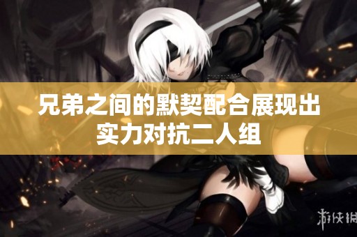 兄弟之间的默契配合展现出实力对抗二人组