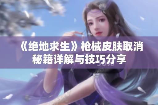 《绝地求生》枪械皮肤取消秘籍详解与技巧分享