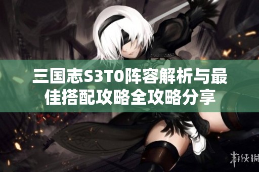 三国志S3T0阵容解析与最佳搭配攻略全攻略分享