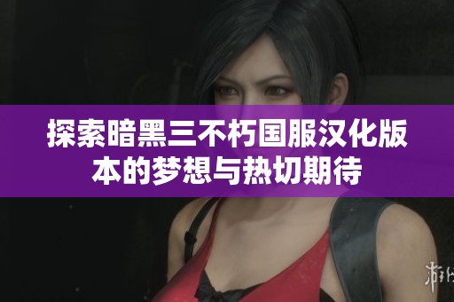 探索暗黑三不朽国服汉化版本的梦想与热切期待