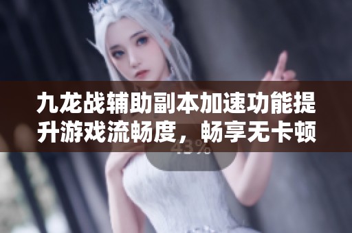 九龙战辅助副本加速功能提升游戏流畅度，畅享无卡顿体验