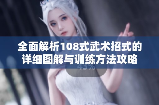 全面解析108式武术招式的详细图解与训练方法攻略