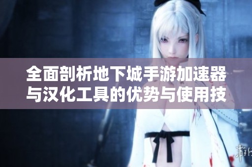 全面剖析地下城手游加速器与汉化工具的优势与使用技巧
