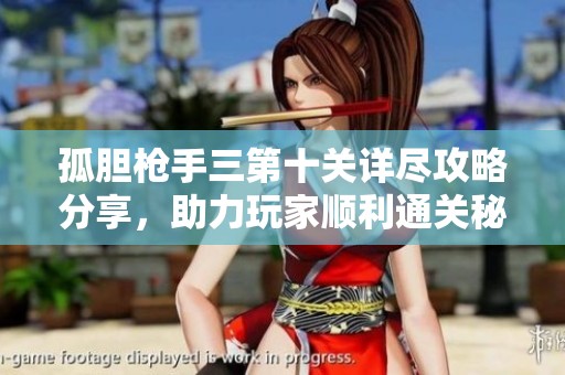 孤胆枪手三第十关详尽攻略分享，助力玩家顺利通关秘籍