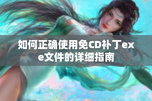 如何正确使用免CD补丁exe文件的详细指南