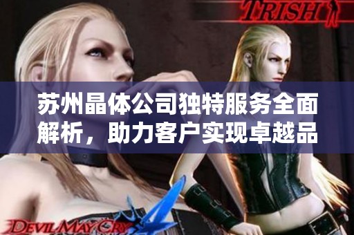 苏州晶体公司独特服务全面解析，助力客户实现卓越品质和高效生产