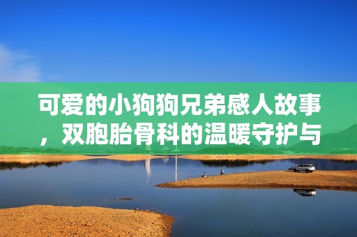 可爱的小狗狗兄弟感人故事，双胞胎骨科的温暖守护与陪伴
