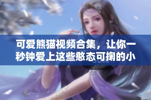可爱熊猫视频合集，让你一秒钟爱上这些憨态可掬的小家伙