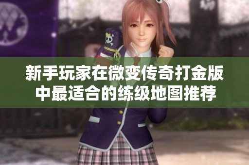 新手玩家在微变传奇打金版中最适合的练级地图推荐