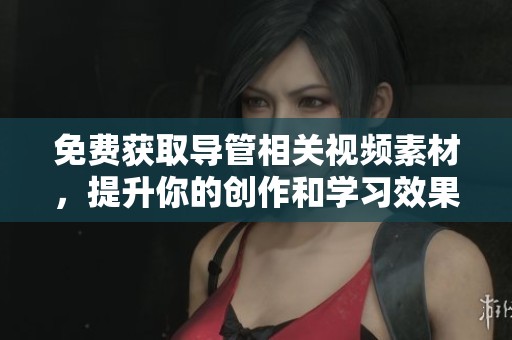 免费获取导管相关视频素材，提升你的创作和学习效果
