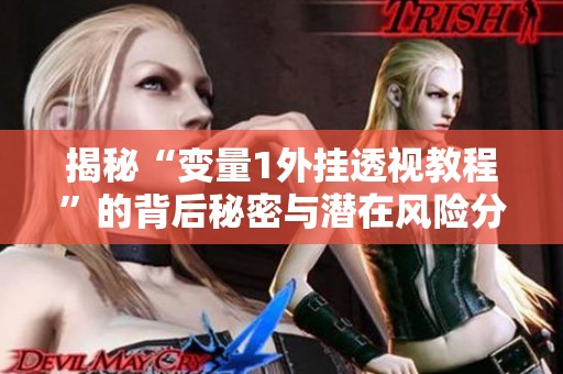 揭秘“变量1外挂透视教程”的背后秘密与潜在风险分析