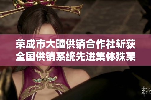 荣成市大疃供销合作社斩获全国供销系统先进集体殊荣
