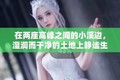 在两座高峰之间的小溪边，湿润而干净的土地上静谧生活的故事