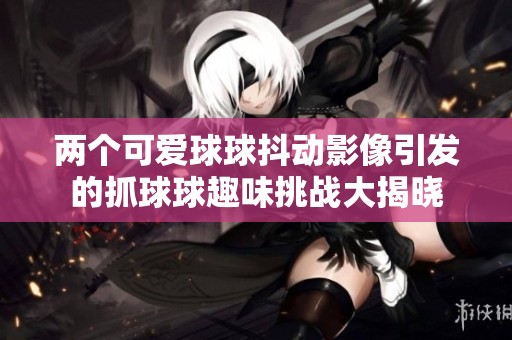 两个可爱球球抖动影像引发的抓球球趣味挑战大揭晓