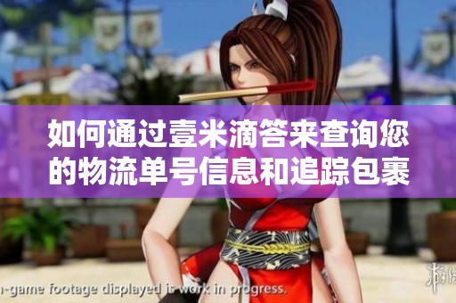 如何通过壹米滴答来查询您的物流单号信息和追踪包裹状态