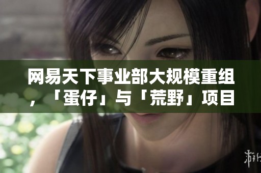 网易天下事业部大规模重组，「蛋仔」与「荒野」项目独立运作！