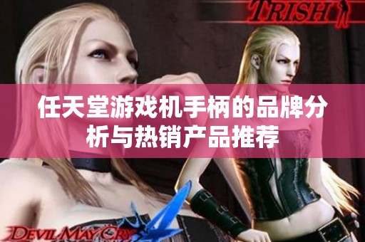 任天堂游戏机手柄的品牌分析与热销产品推荐