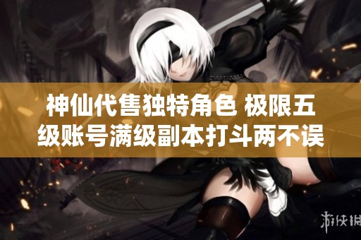 神仙代售独特角色 极限五级账号满级副本打斗两不误