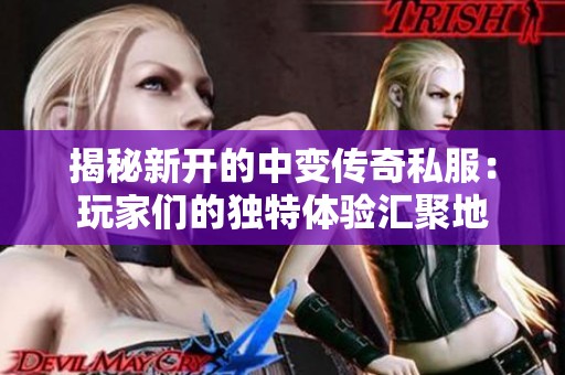 揭秘新开的中变传奇私服：玩家们的独特体验汇聚地
